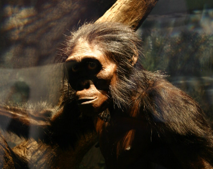 (Image Credits: Flickr)