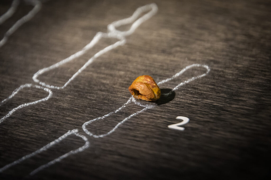 (Image Credits By Thilo Parg, CC BY-SA 3.0)