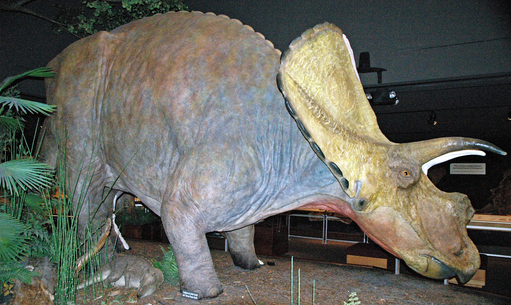 10 Prehistoric Animals Renamed After a Second Look