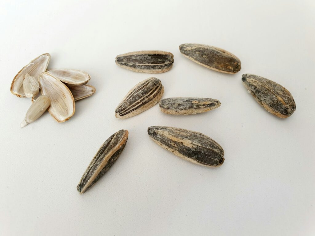 7 Ancient Food Traditions Scientists Reconstructed From Teeth, Pots, and Burned Seeds