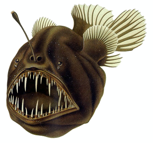 What Deadly Looking Deep Sea Creature Are You According to Your Zodiac Sign