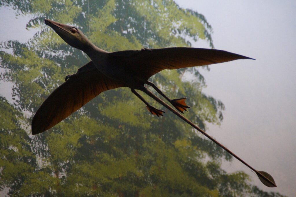 Evolution Says Flight Evolved Independently in Insects, Pterosaurs, Birds, and Bats