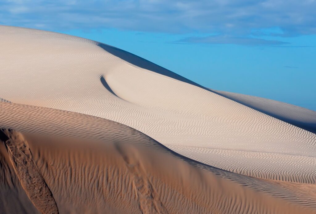 11 Ways a Landscape Shows Which Way the Wind Usually Blows