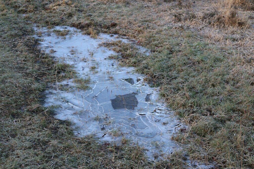 11 Things a Frozen Puddle Shows About the Night Before