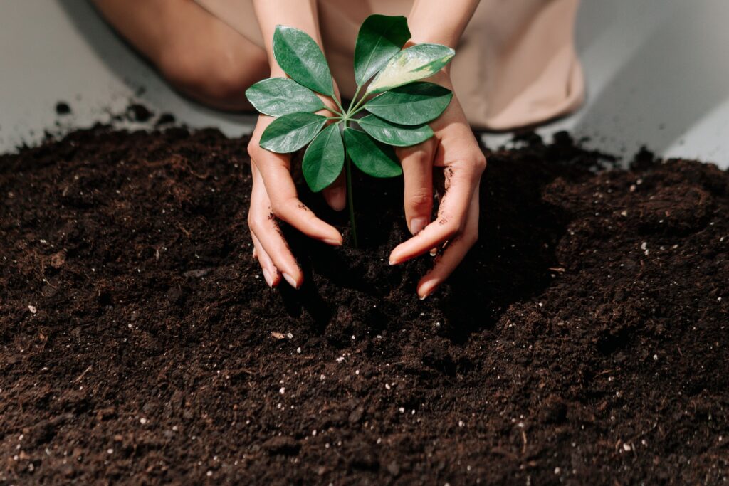 11 Things a Soil Test Shows That Nobody Thought to Ask About