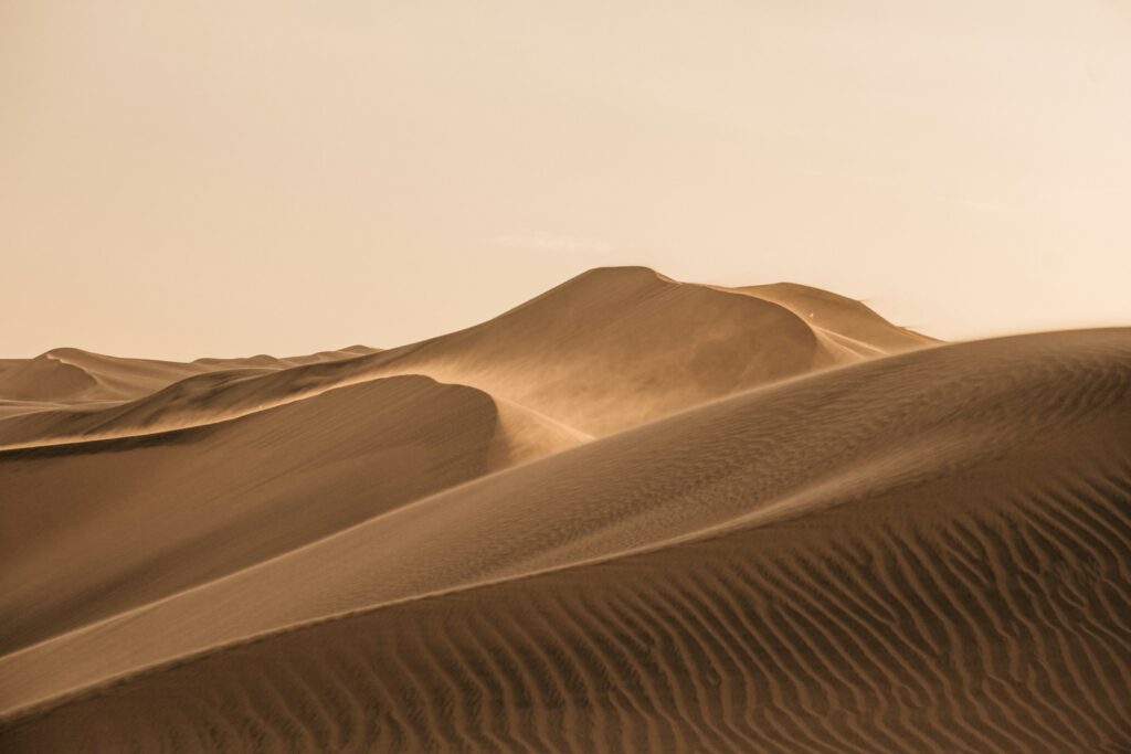12 Things a Sand Dune Records About a Century of Wind