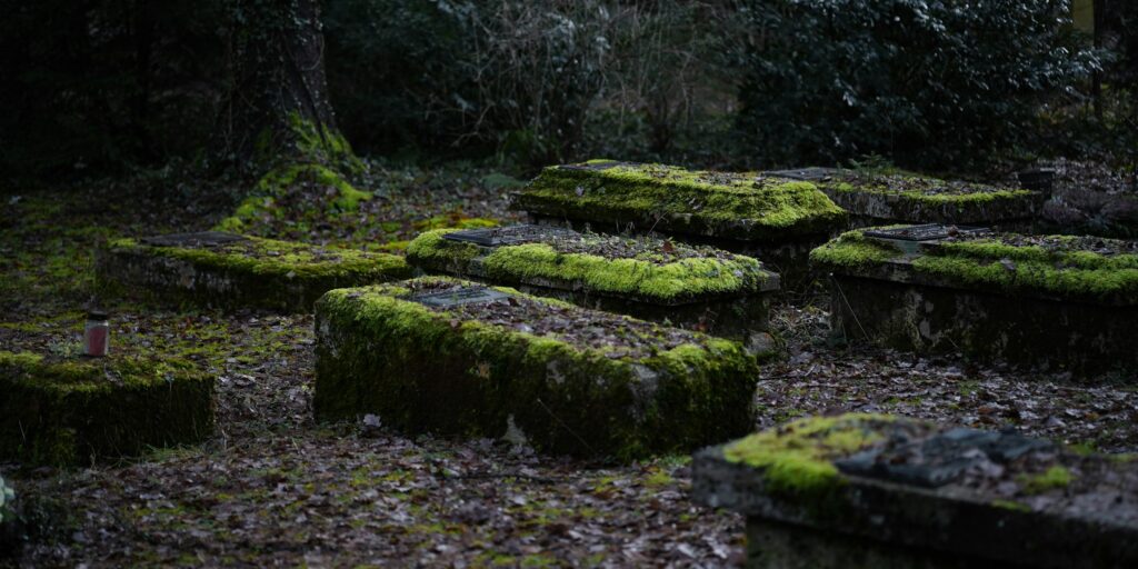 14 Things Growing on Old Gravestones Across America