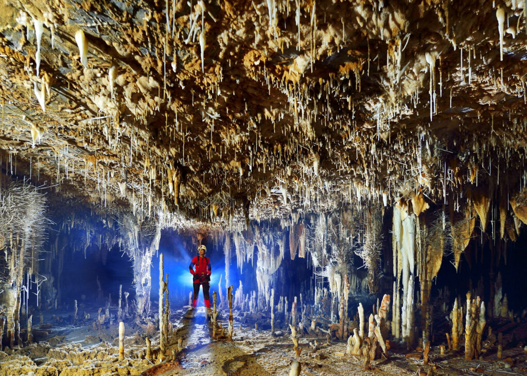 14 Things Cave Air Preserves That Open Ground Destroys