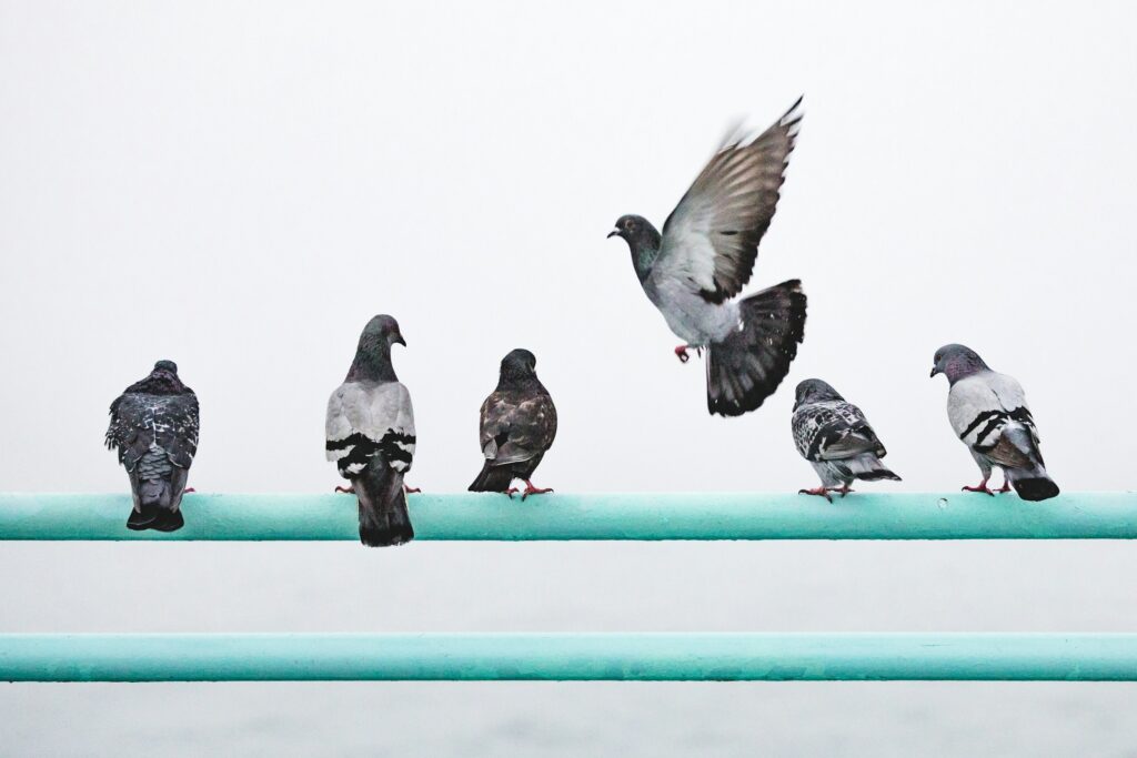 12 Bird Traits That Are Older Than Every Mammal Alive