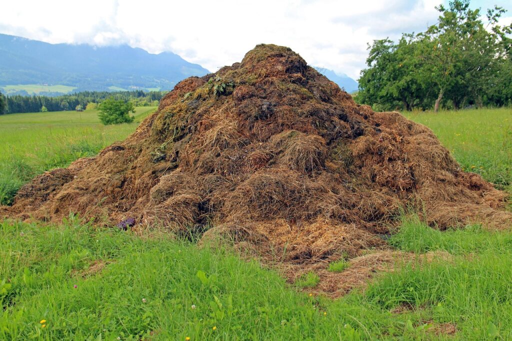 14 Things a Compost Heap Does That Sound Invented