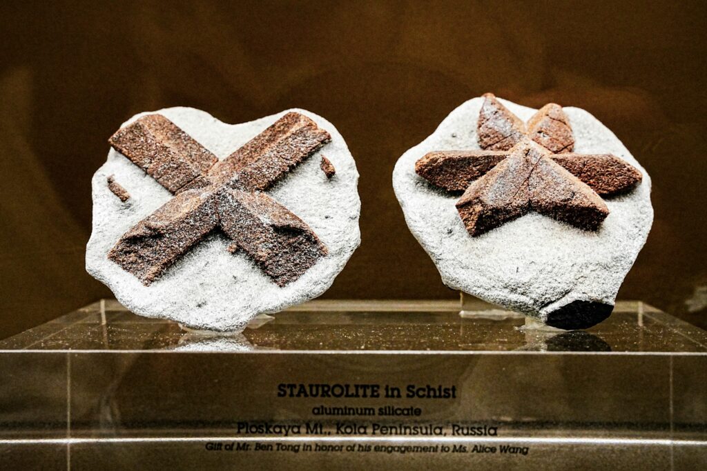 Why Two Specimens From One Site Tell Different Stories