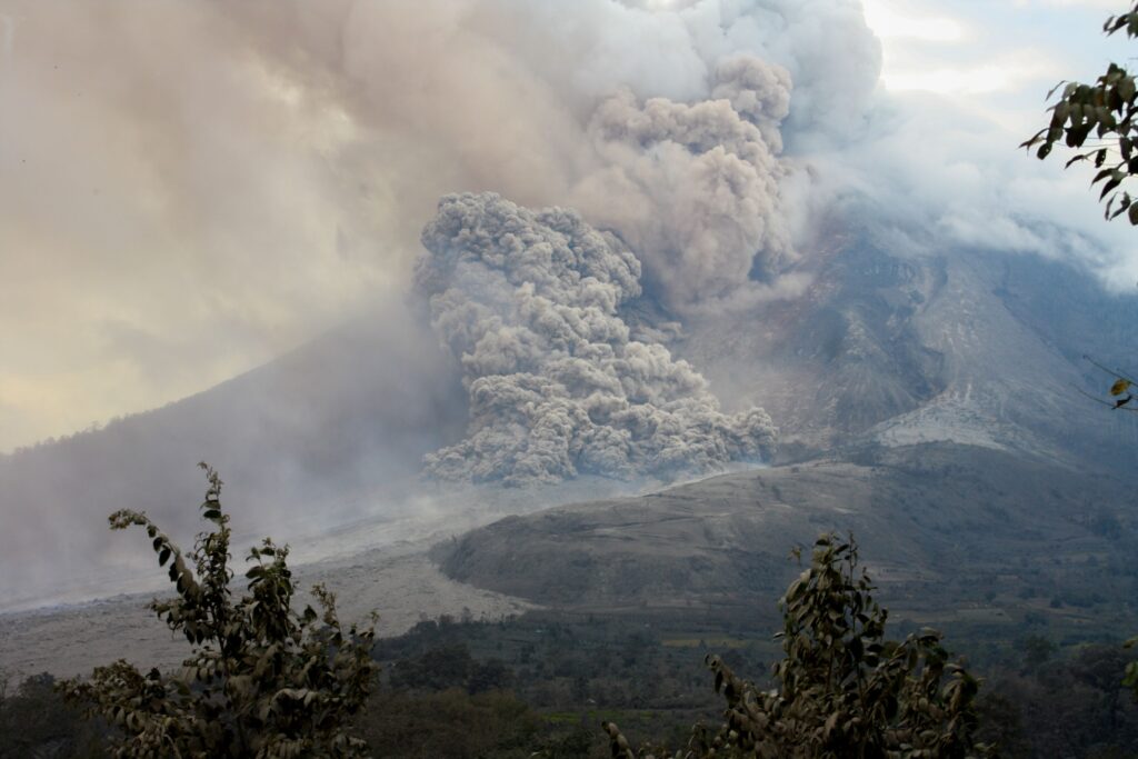14 Things Volcanic Ash Keeps Perfectly for Centuries