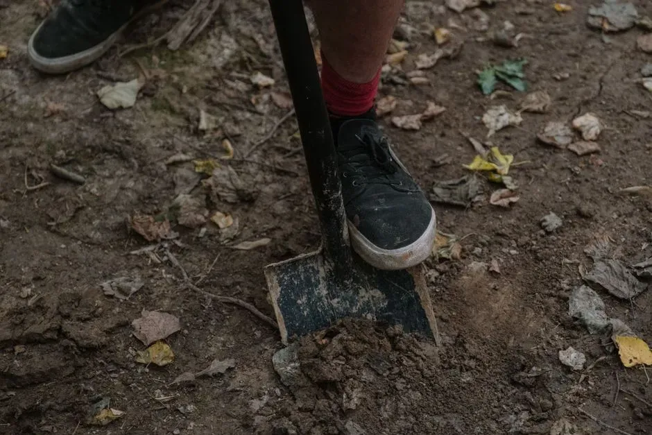 13 Things Buried in Ordinary Gardens Across America