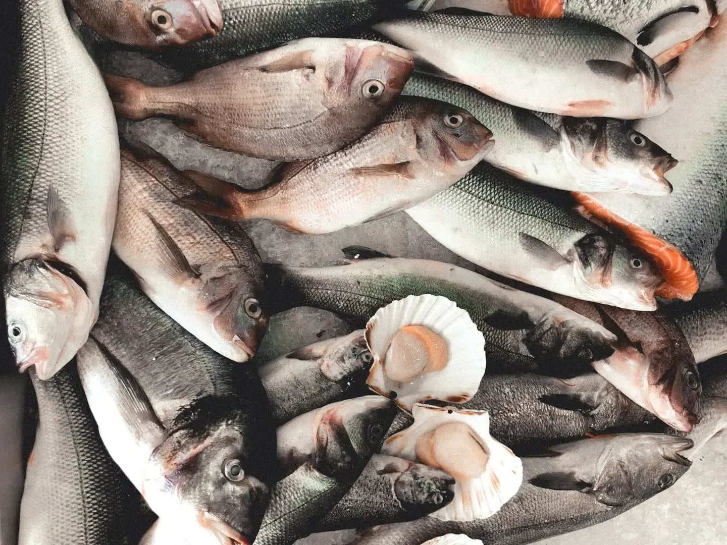 #10 - Fish and Shellfish: The Coastal Superfood Advantage