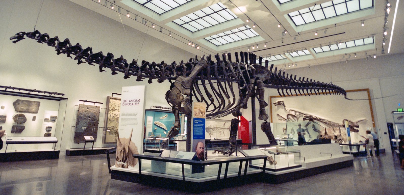 #25 - Brontosaurus Wasn't Supposed to Exist (Then It Did Again)