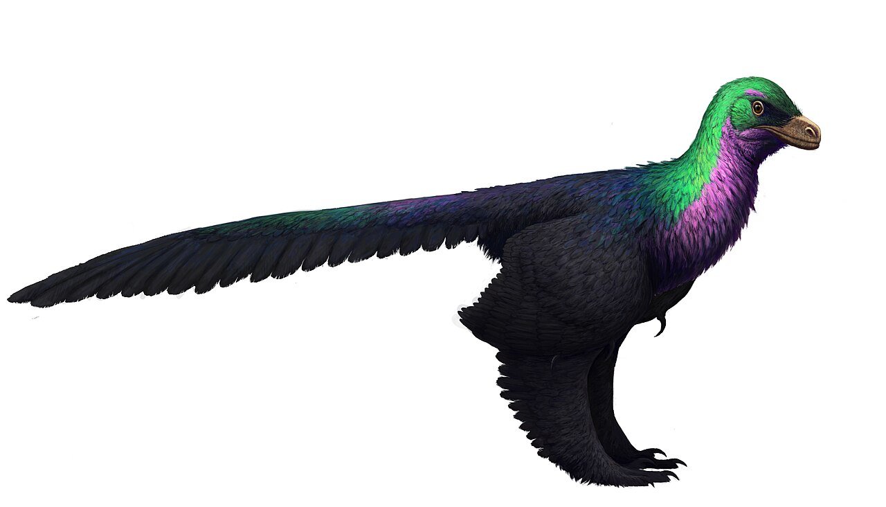 #8 - Caihong Earned the Nickname "Rainbow Dinosaur"