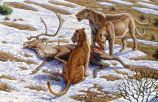 American Lion (Panthera atrox) – The Giant Cat That Ruled the Plains