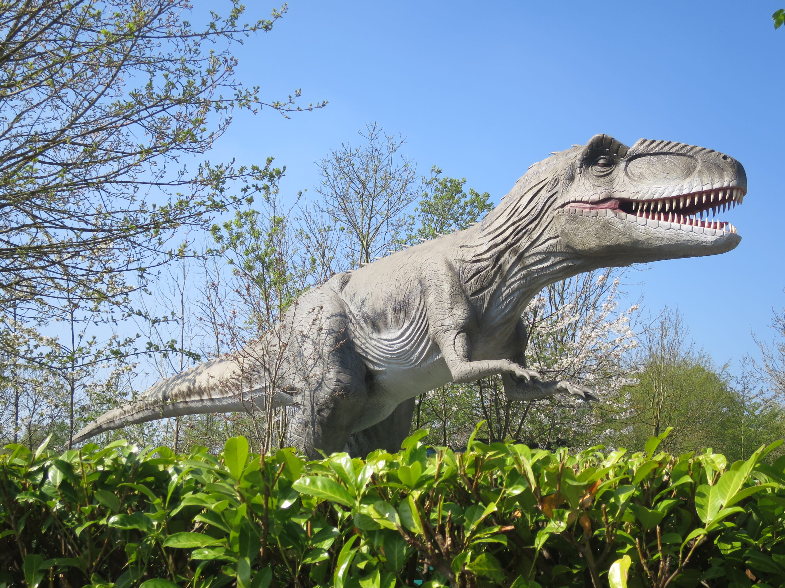 Scorpio – Giganotosaurus, The Intense Powerhouse