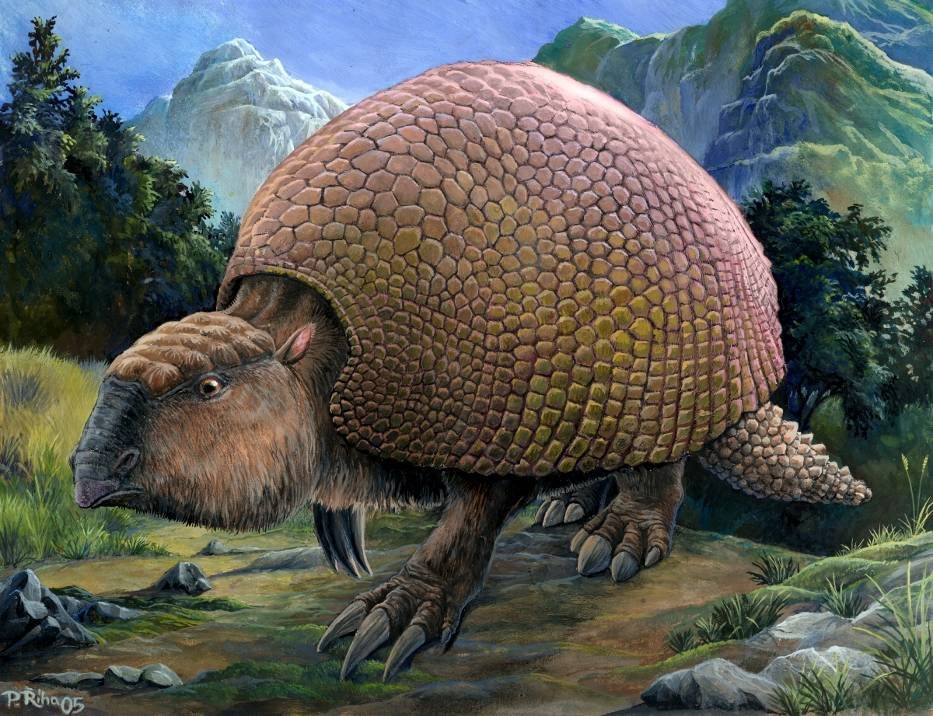 7. Glyptodon and Other Giant Armadillos: Walking Tanks of the Ice Age