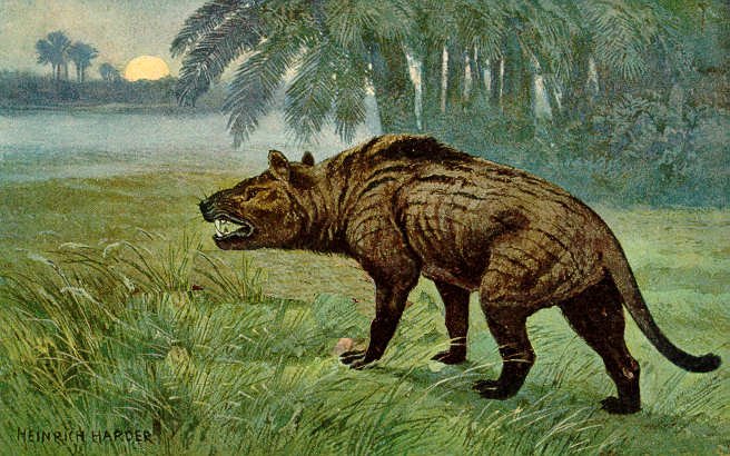 Hyaenodon and Its Relatives – Early Mammal Predators Before Modern Carnivores