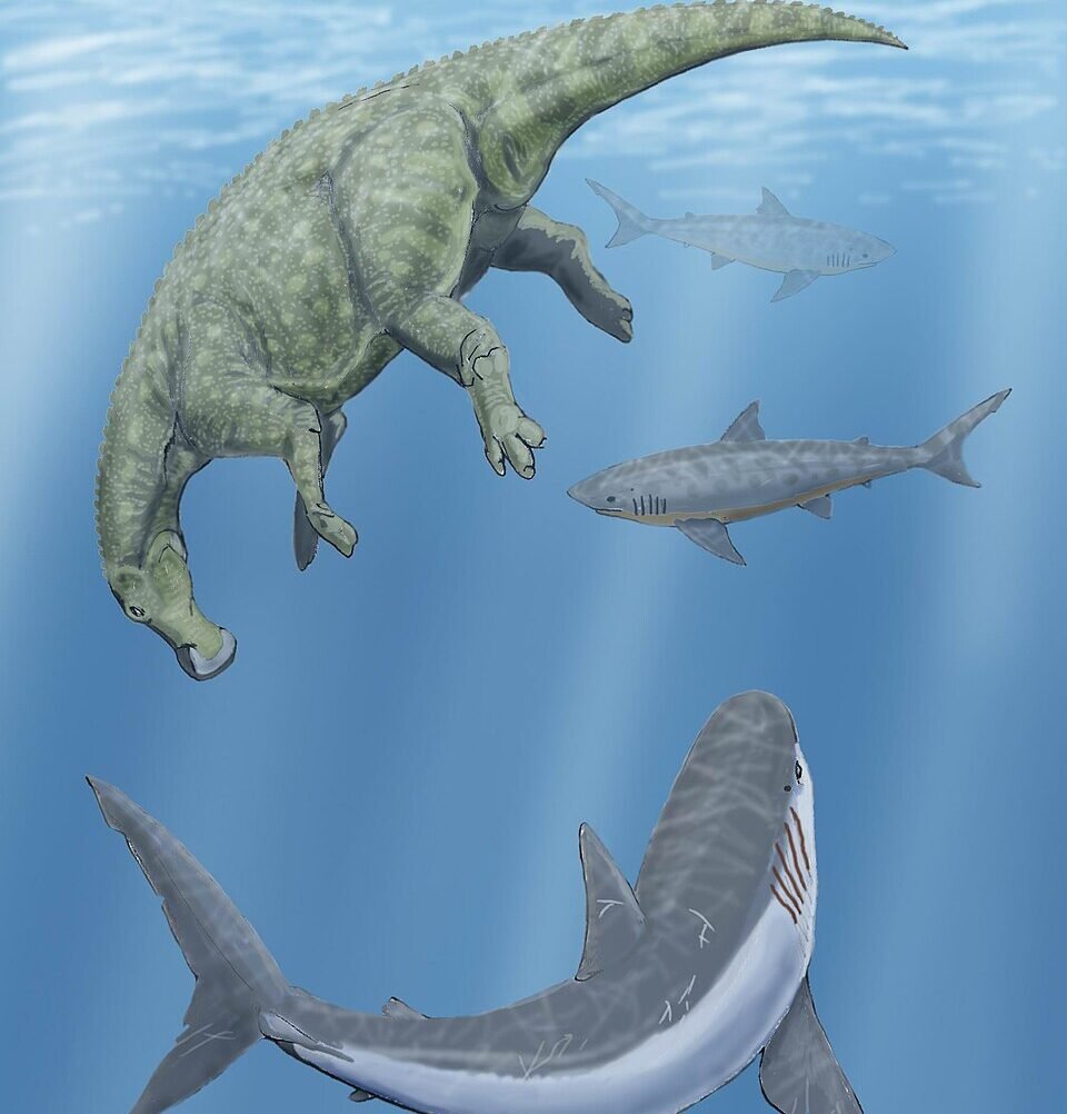 The Seaway Shaped the Dinosaurs That Lived on Either Side