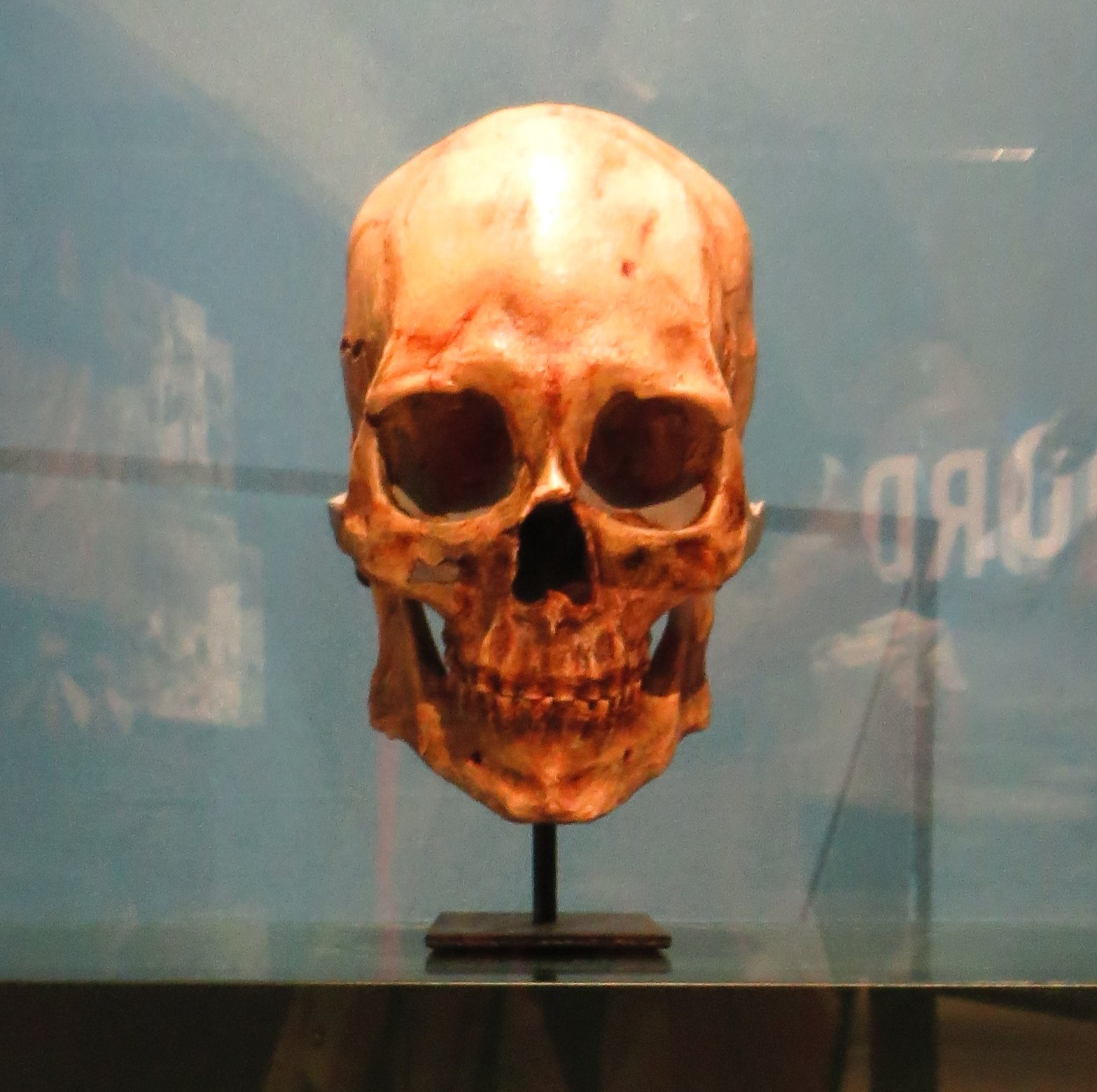 #1 - Kennewick Man Was Never Who Scientists Claimed 