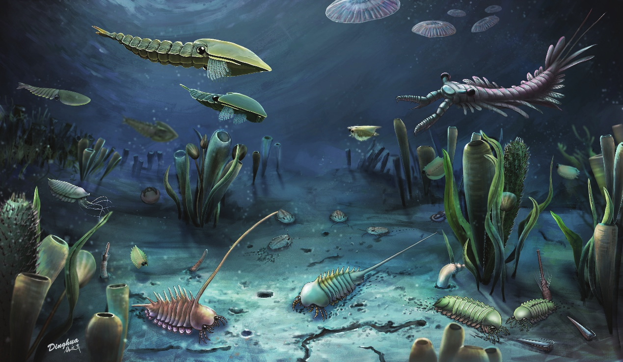 #13 - Why Did the Cambrian Explosion Happen So Suddenly?