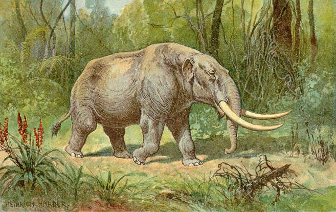 #3 - They Weren't Grass-Eaters at All - They Were Forest Browsers