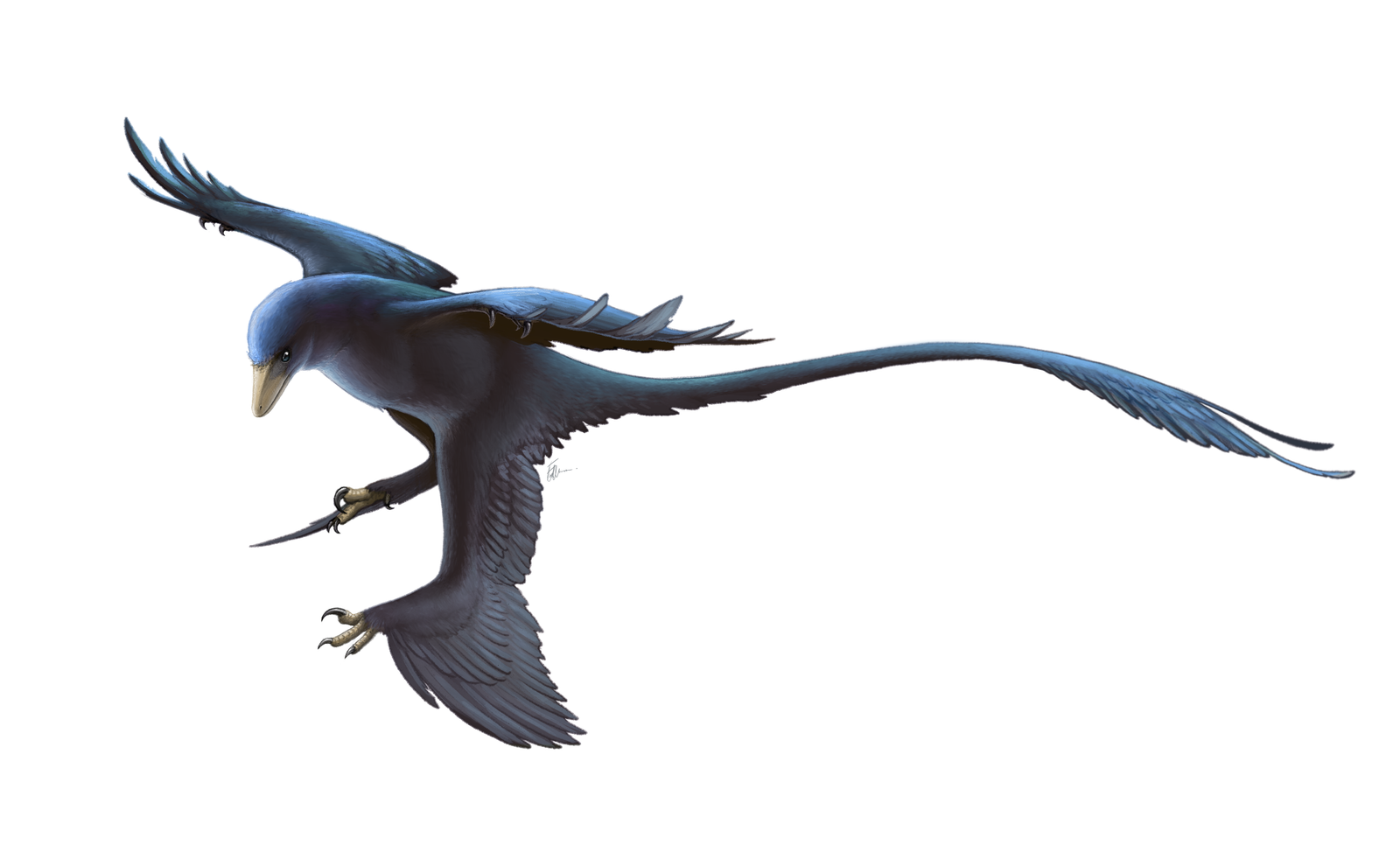 #7 - Microraptor Shimmered Like a Crow