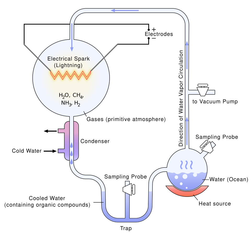 #2 - The Most Famous Experiment in the Field Never Actually Proved Abiogenesis