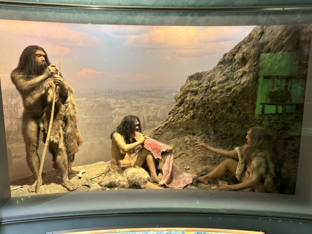 14 Things Neanderthals Actually Did That Scientists Spent Decades Refusing To Believe - And A Few They Still Argue About Today