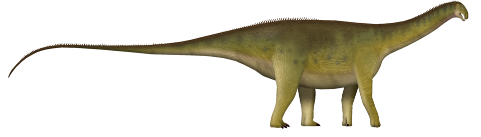 8. Nigersaurus: The Dinosaur With a Vacuum‑Cleaner Face 