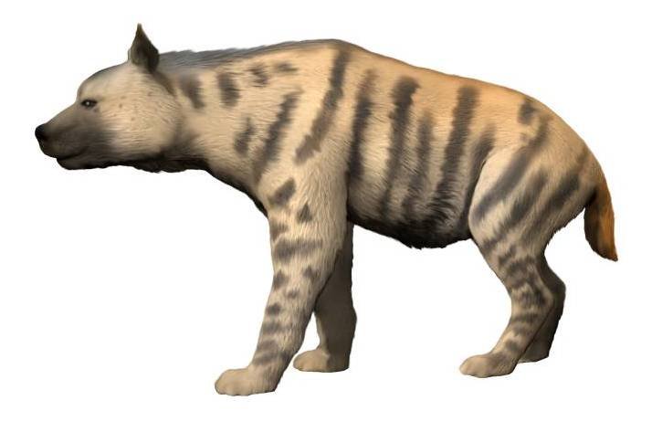 #5 - The Giant Short-Faced Hyena: The Nightmare Scavenger