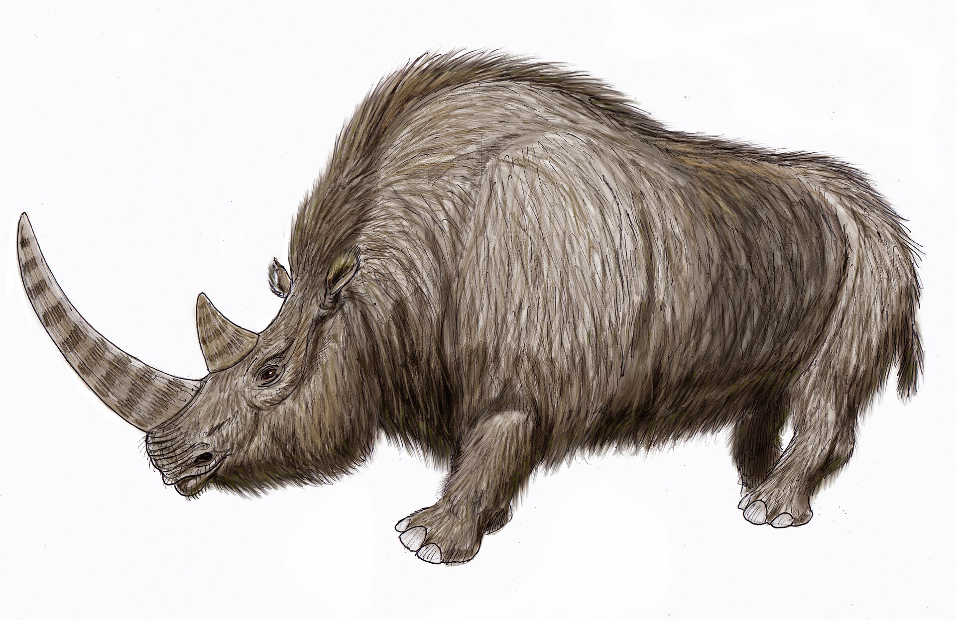 #1 - "We Basically 'Knew' This Animal 20 Years Ago"