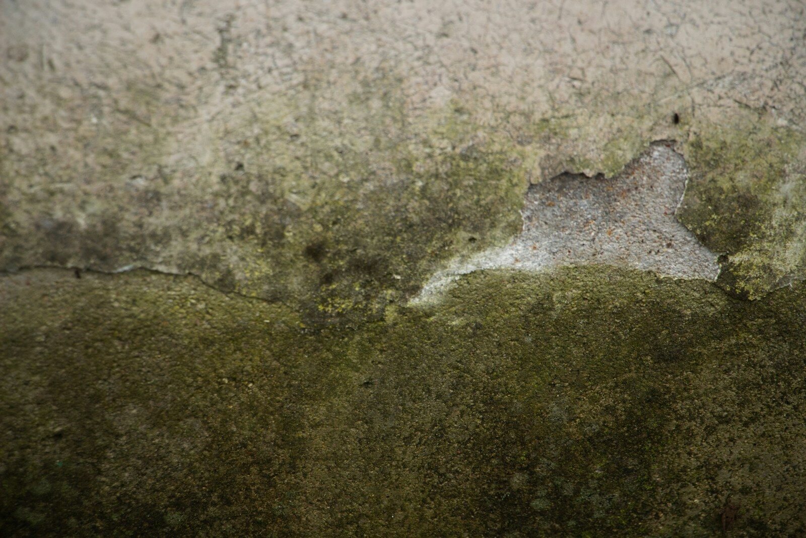 #3 Mold, Mildew, and the Slow Burn of Indoor Air Problems